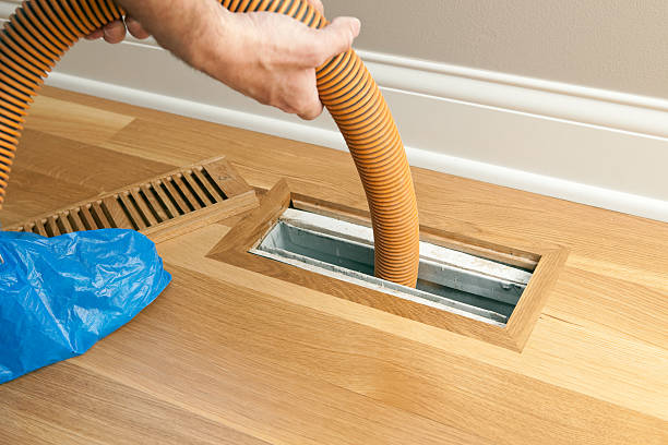 Air Duct Mold Removal in New Market, AL