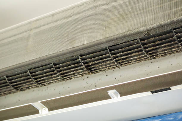 Best Ductwork Cleaning Services  in New Market, AL